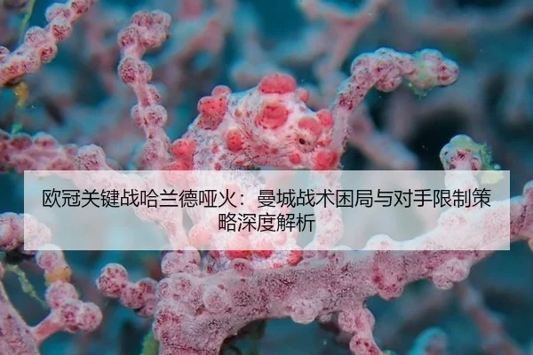 欧冠关键战哈兰德哑火：曼城战术困局与对手限制策略深度解析
