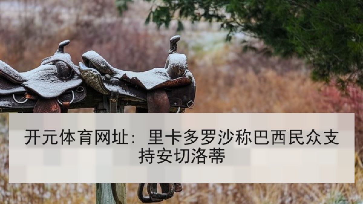 开元体育网址: 里卡多罗沙称巴西民众支持安切洛蒂