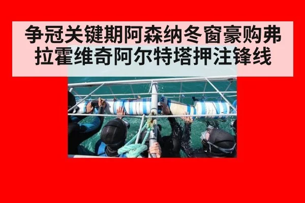 争冠关键期阿森纳冬窗豪购弗拉霍维奇阿尔特塔押注锋线