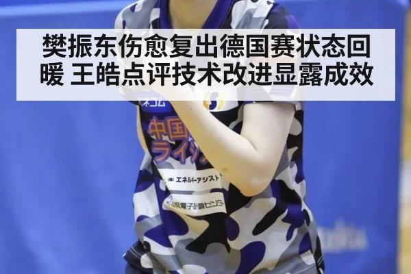樊振东伤愈复出德国赛状态回暖 王皓点评技术改进显露成效